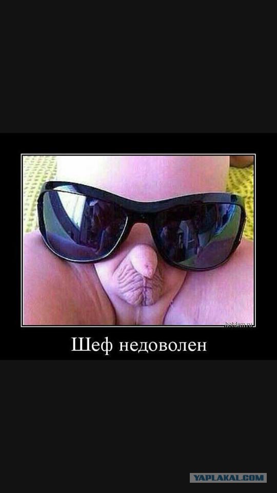 150 картинки для поднятия настроения!
