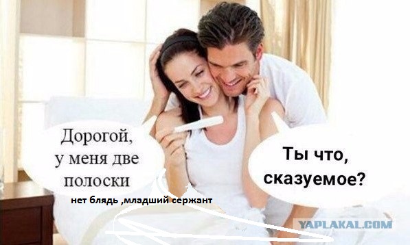 Чернь и деградация к выходным