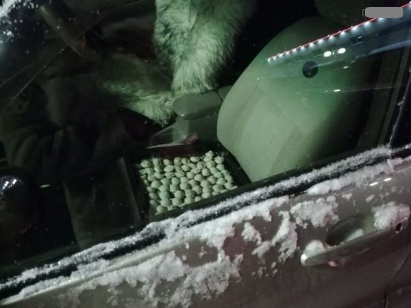 Подборка интересных и веселых картинок