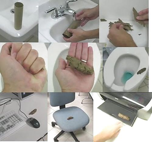 "Живи, сука, дешево и сердито"