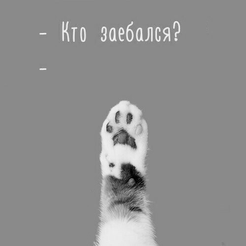 Зря вы это всё...