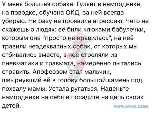 Смешные комментарии из социальных сетей 22.02.2018