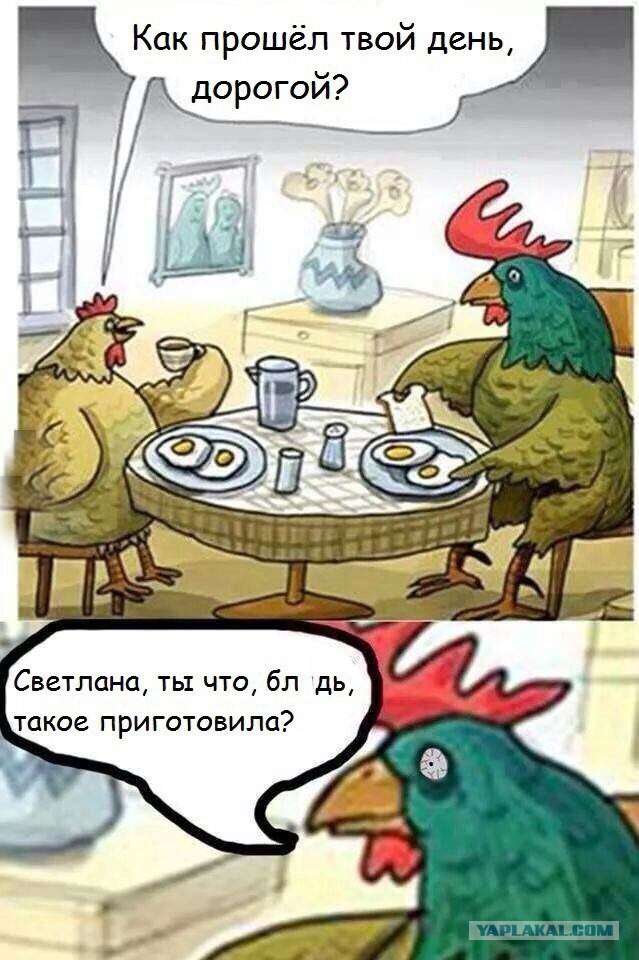 Нестандартный юмор