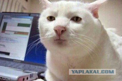 И снова извечный вопрос "имеет ли значение размер"