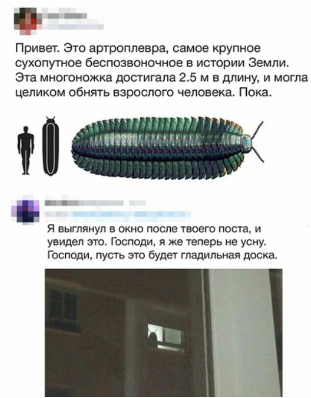 Прикольные комментарии и высказывания из Сети  14. 11. 2018.