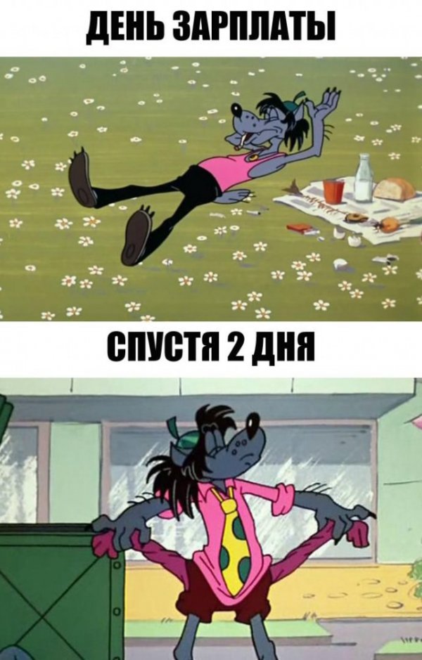 Анекдоты, соц-сети и картинки с надписями