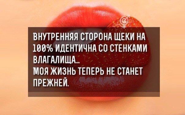 Прикольные картинки с надписями