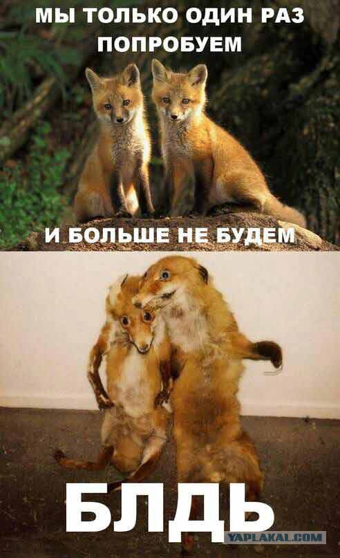 Традиционный алкопост в эту пятницу