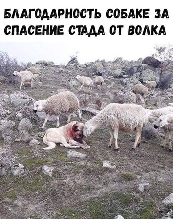Разные и без темы