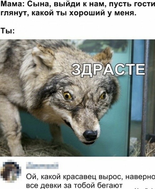 Картинок пост