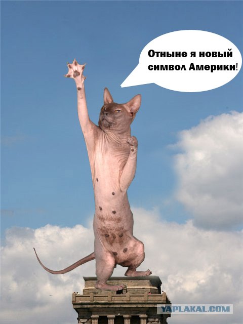 Фотожаба: Символ Америки