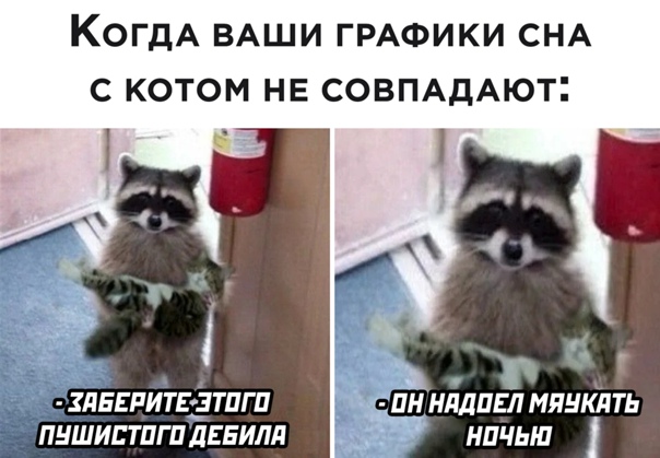 Картинки всякие 06.12.20