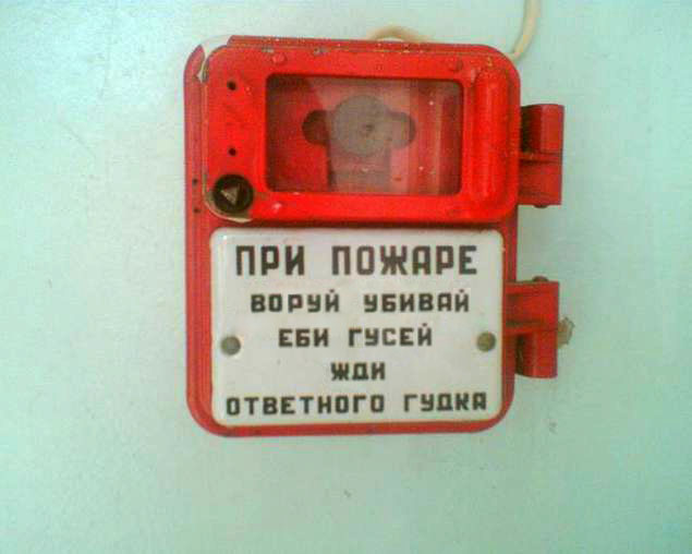 Дом, в который врезаются гуси