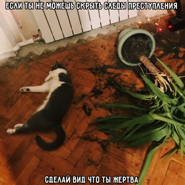 Отстань. Мне тоже не фонтан