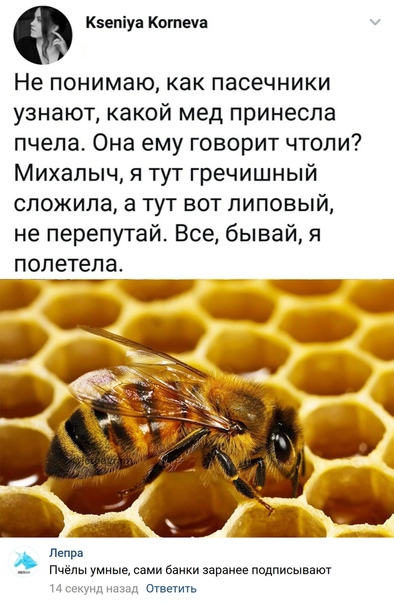Весёлый полтишок 8.08
