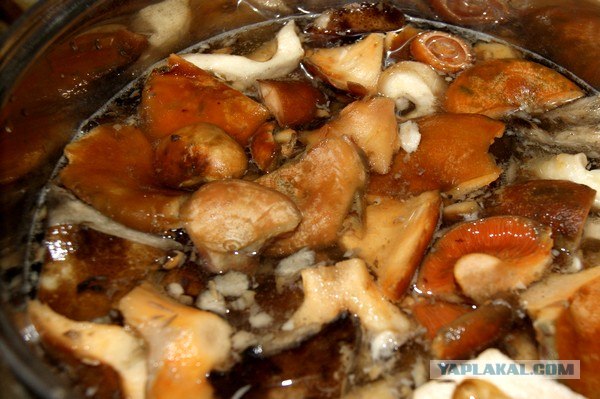 Осень в банках