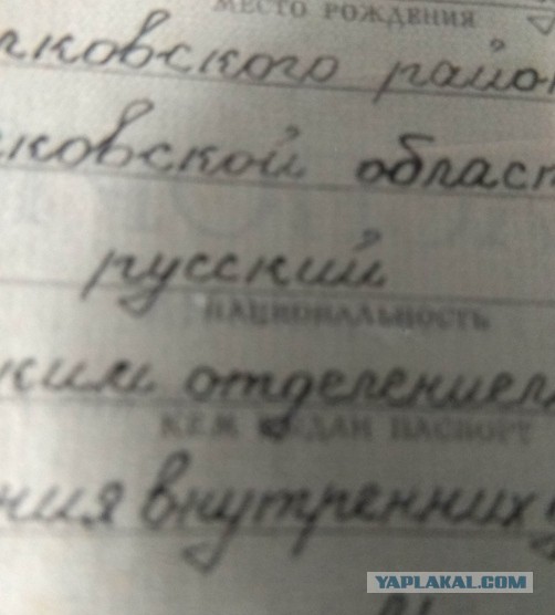 15 пермских вещей, которые покупал весь Советский Союз