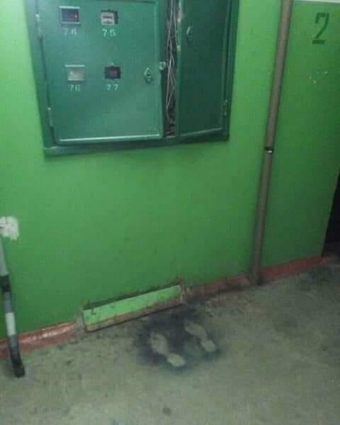 Да не вызывай электрика, я сам разберусь