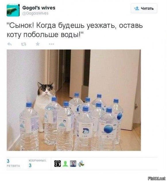 Пандемия. Коронавирус и съехавшие крыши. Россия и мир. Часть 33.
