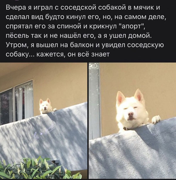 Картинки и мемы, всем хороших выходных