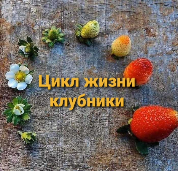 Немного картинок для настроения - 129