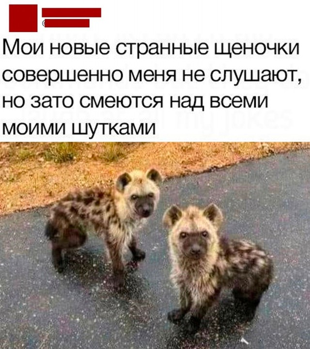 Так себе картинки 19.10.22