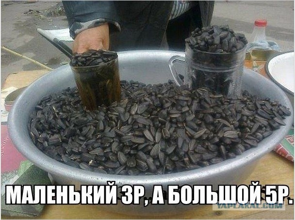 Замыкая круг, ты назад посмотришь вдруг...