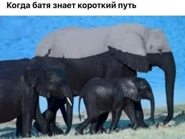 Чуток картинок 22.01.23