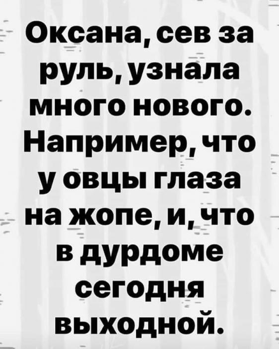 Немного картинок для настроения - 161