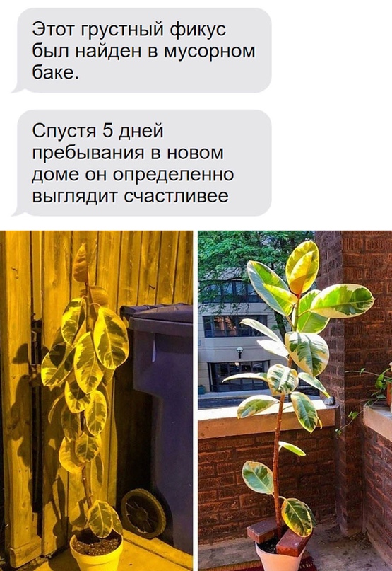 Картинки и мемы, всяко разно - 175