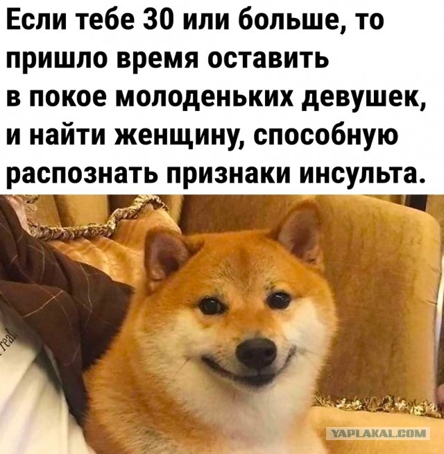 Правильное мнение: Отличие баб от женщин