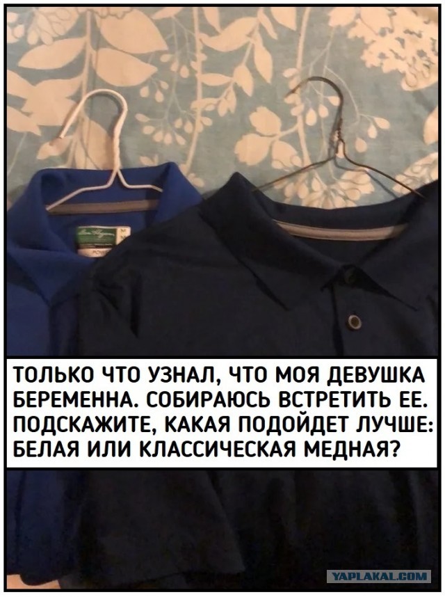 Чёрно-пошлая среда