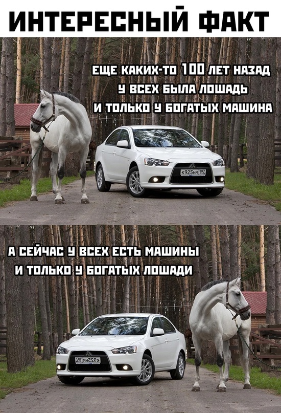 Весёлый полтишок 30.07.23