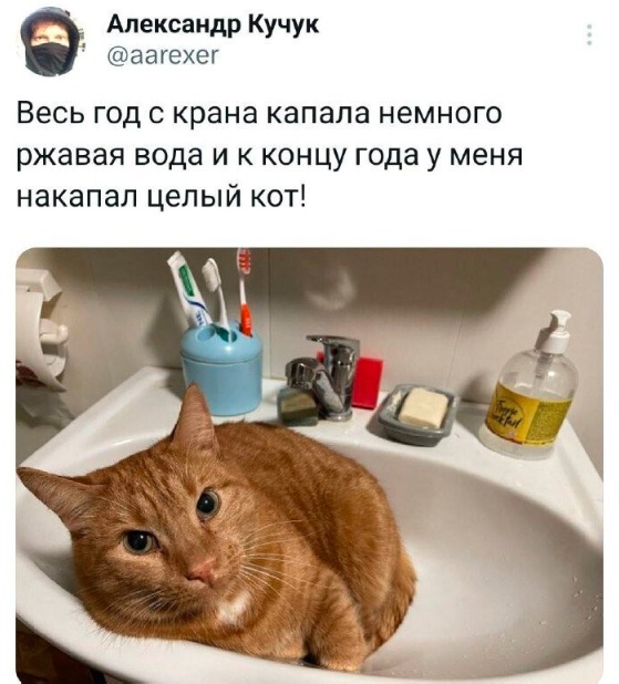 Нуштош 06.01.2024