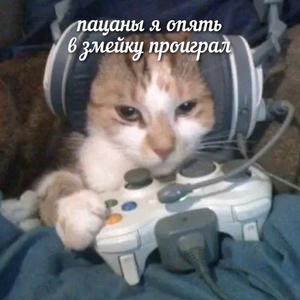 Всего понемногу. От 05.04.2024