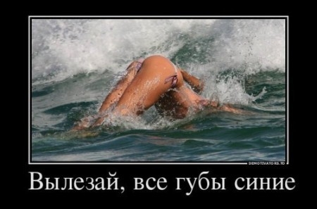 Баяны со старого телефона. Часть вторая