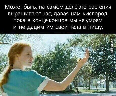 В Барселоне накануне прошел митинг движения "Птиц не существует"