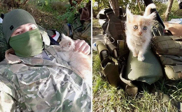 У рыжих всё стабильно