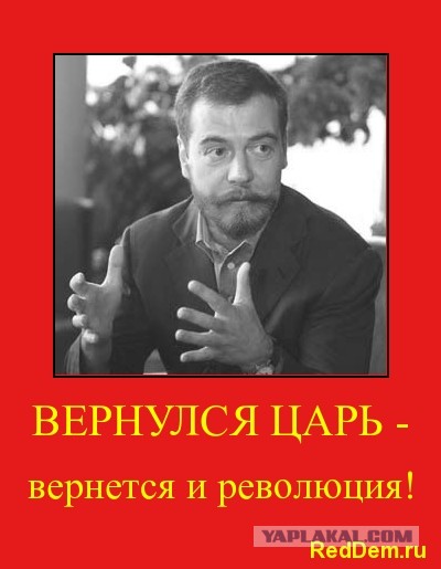 Он нам снова Димон!