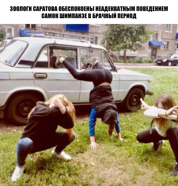 Завалялось тут случайно немного забавных картинок