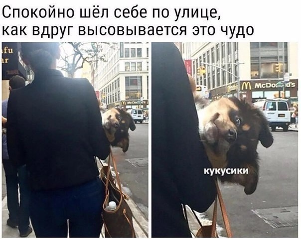 Завалялось тут случайно немного забавных картинок