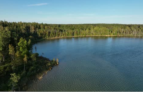 Решил проверить себя