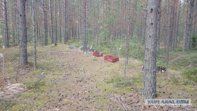 Мусечка.