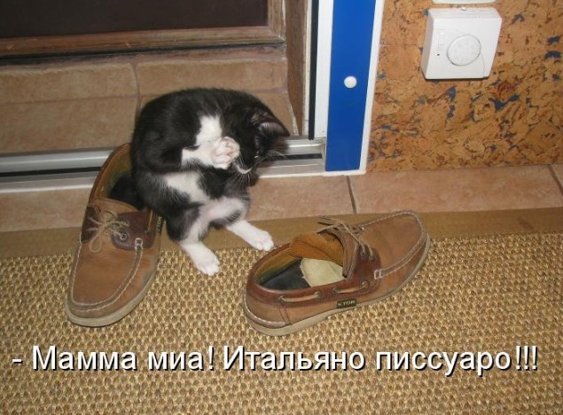 Испуги