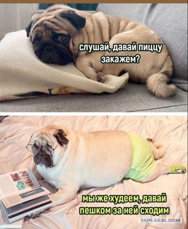 Завалялось тут случайно немного забавных картинок