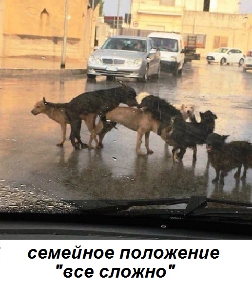 Баянопад