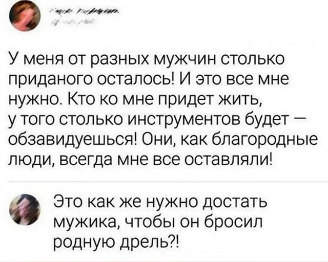 20583217.jpg