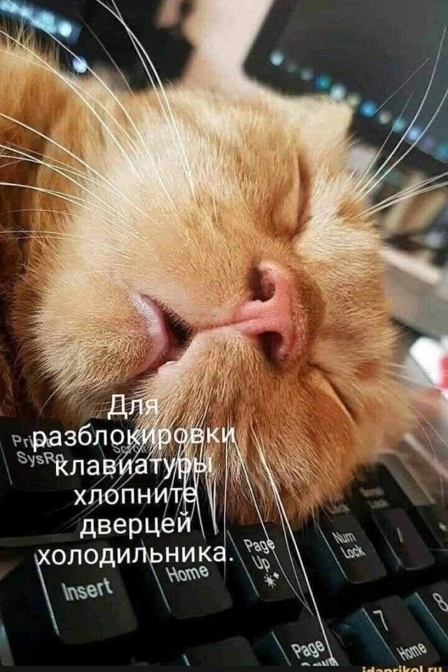 Пятницы картинки