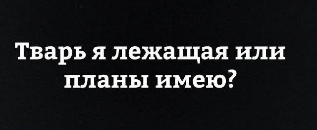 Картиночки, баянчики 03 января