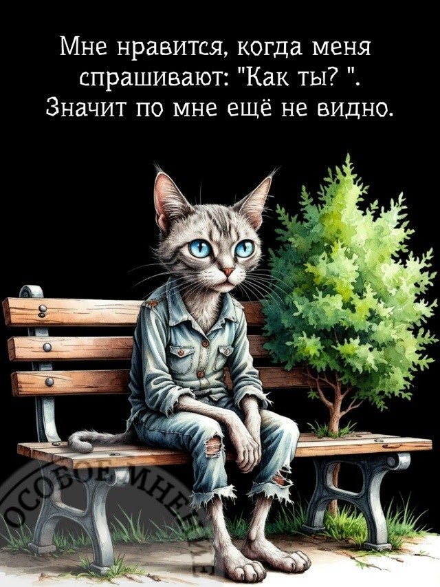 Прикольные и просто красивые картинки 16.10.2026